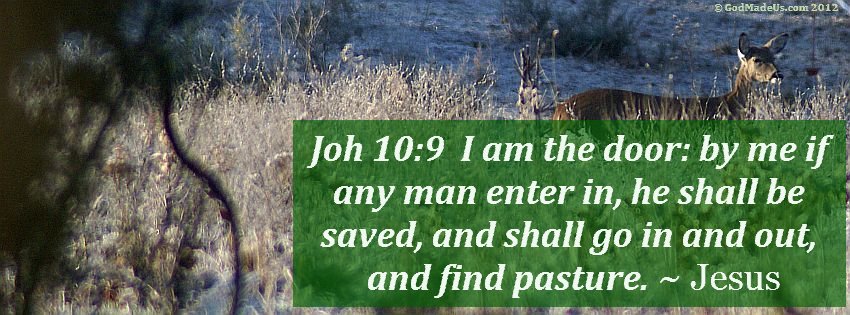 Image of a deer in a field of tall grass with the words: Joh 10:9 I am the door: by me if any man enter in, he shall be saved, and shall go in and out, and find pasture. ~ Jesus 