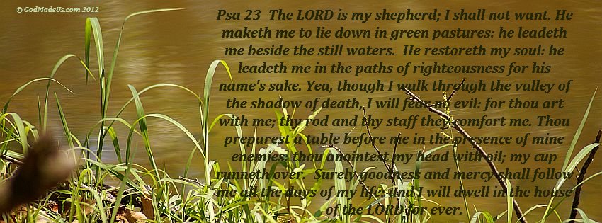 Image of grass on the bank of a pond with the words: Psa 23:1 A Psalm of David. The LORD is my shepherd; I shall not want. Psa 23:2 He maketh me to lie down in green pastures: he leadeth me beside the still waters. Psa 23:3 He restoreth my soul: he leadeth me in the paths of righteousness for his name's sake. Psa 23:4 Yea, though I walk through the valley of the shadow of death, I will fear no evil: for thou art with me; thy rod and thy staff they comfort me. Psa 23:5 Thou preparest a table before me in the presence of mine enemies: thou anointest my head with oil; my cup runneth over. Psa 23:6 Surely goodness and mercy shall follow me all the days of my life: and I will dwell in the house of the LORD for ever.