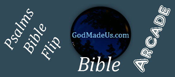 Bible games on GodMadeUs.com Bible Flip