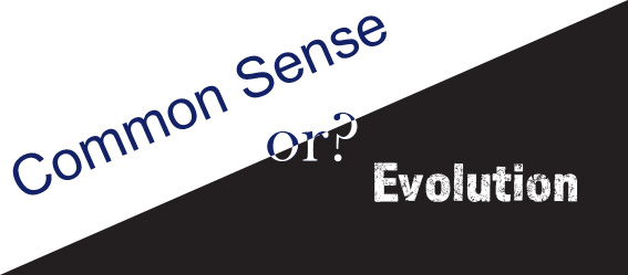 Common Sense or evolution?