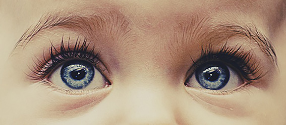Picture of a infant's eyes