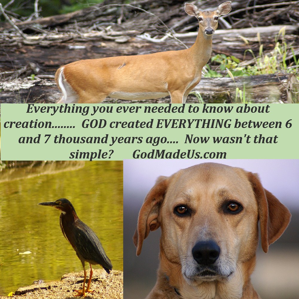 Picture of these words: God created everything between 6 and 7 thousand years ago. Now wasn't that simple? These words are accompanied by images of a dog, a bird and a deer. GodMadeUs.com