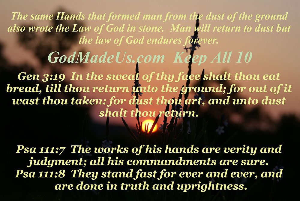 The same Hands that formed man from the dust of the ground also wrote the Law of God in stone. Man will return to dust but the law of God endures forever. Gen 3:19 In the sweat of thy face shalt thou eat bread, till thou return unto the ground; for out of it wast thou taken: for dust thou art, and unto dust shalt thou return. Psa 111:7 The works of his hands are verity and judgment; all his commandments are sure. Psa 111:8 They stand fast for ever and ever, and are done in truth and uprightness. Godmadeus.com
