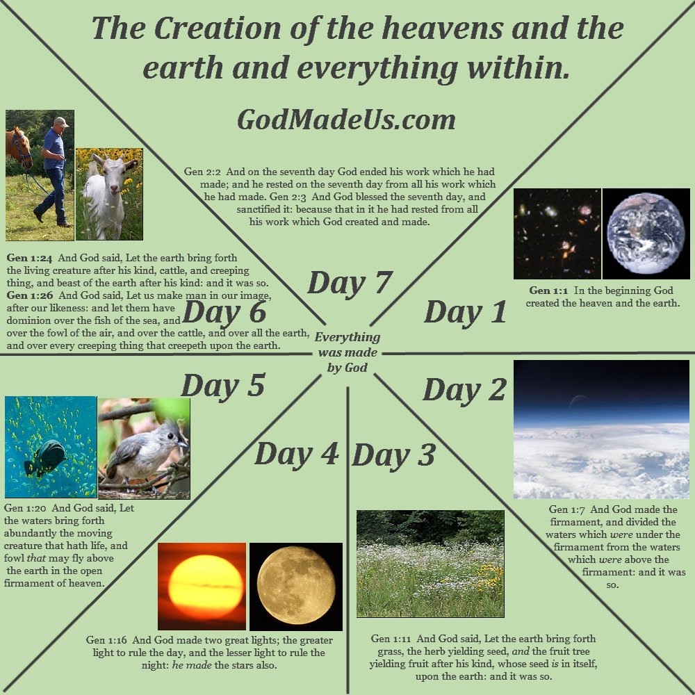 Picture of a chart showing the creation account illustrating what was created on each day and showing God rested on the seventh day Sabbath as per Genesis chapter 1 and 2. GodMadeUs.com