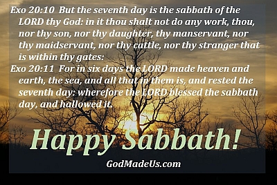 Exo 20:10 But the seventh day is the sabbath of the LORD thy God: in it thou shalt not do any work, thou, nor thy son, nor thy daughter, thy manservant, nor thy maidservant, nor thy cattle, nor thy stranger that is within thy gates: Exo 20:11 For in six days the LORD made heaven and earth, the sea, and all that in them is, and rested the seventh day: wherefore the LORD blessed the sabbath day, and hallowed it. 