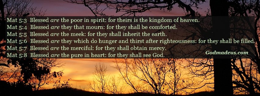 Mat 5:3  Blessed are the poor in spirit: for theirs is the kingdom of heaven. Mat 5:4  Blessed are they that mourn: for they shall be comforted. Mat 5:5  Blessed are the meek: for they shall inherit the earth. Mat 5:6  Blessed are they which do hunger and thirst after righteousness: for they shall be filled. Mat 5:7  Blessed are the merciful: for they shall obtain mercy. Mat 5:8  Blessed are the pure in heart: for they shall see God.