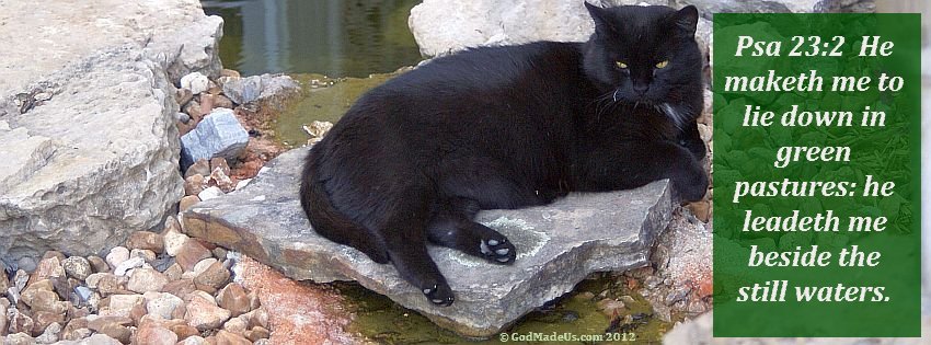 Image of a black cat laying on a rock next to a pond and the words: Psa 23:2 He maketh me to lie down in green pastures: he leadeth me beside the still waters.